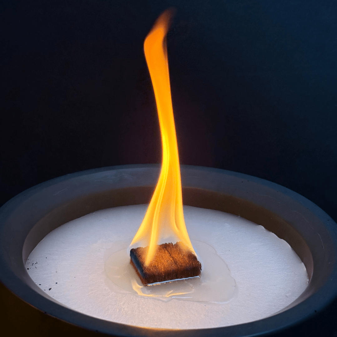 Dauerfeuer CLARUS (3er Set)