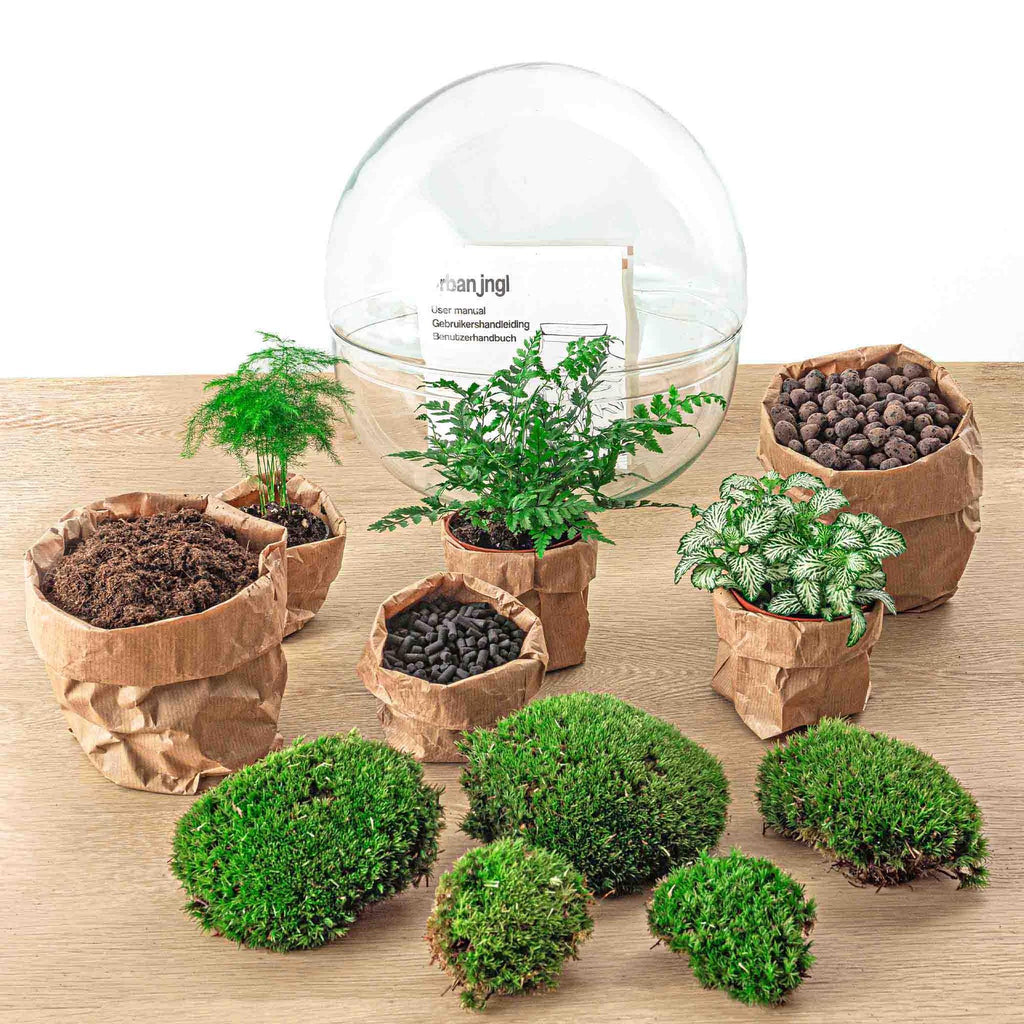Flaschengarten - Dome XL - ↕ 30 cm - inkl. Rechen + Schaufel + Pinzette + Schere
