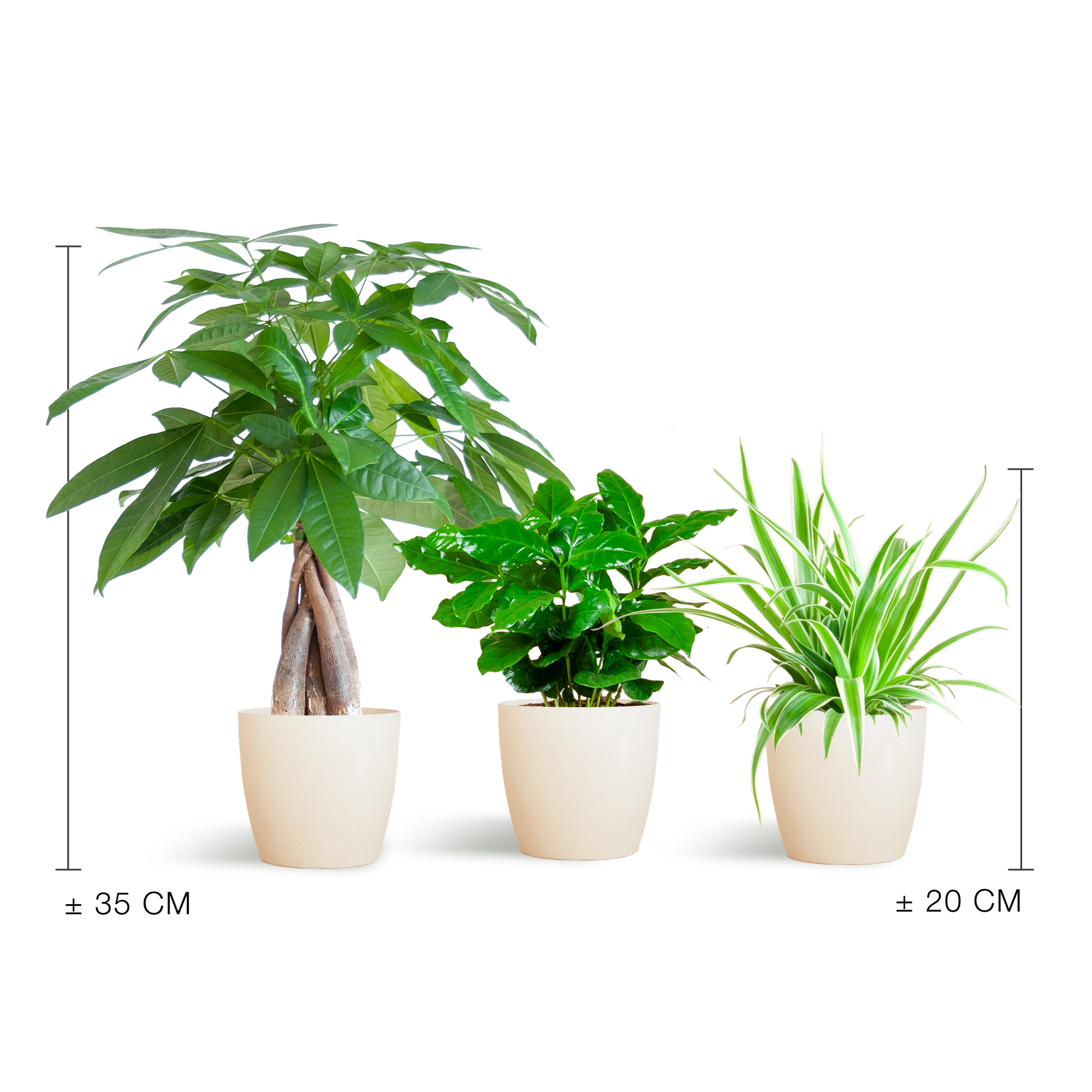 Tierfreundliche Pflanzbox - klein - mit topf Viber White - Ø12